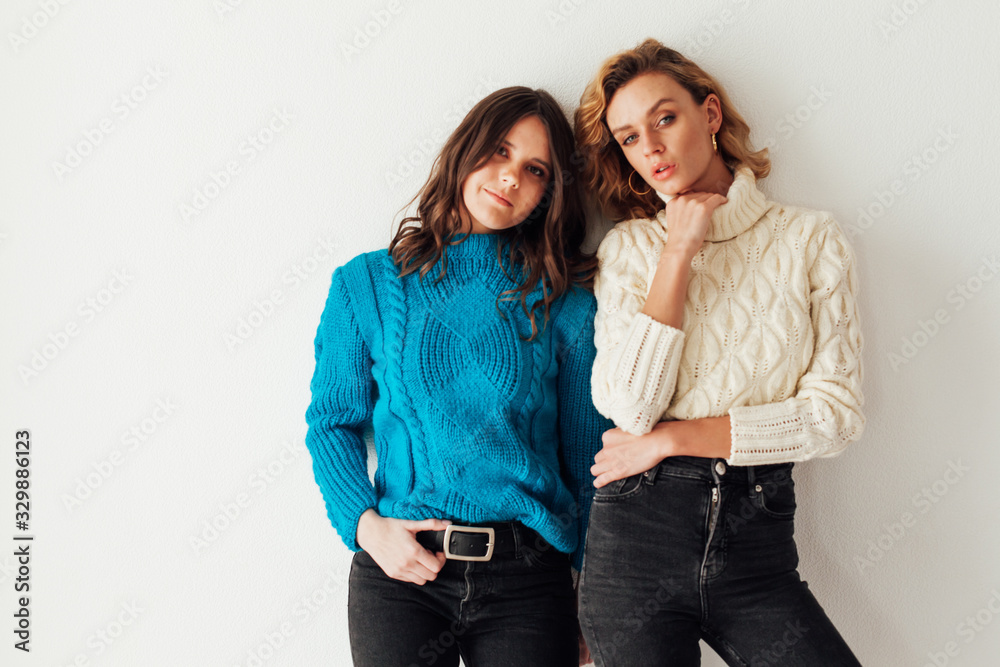Portrait of two beautiful fashionable stylish female girlfriends together