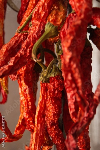 A bunch of red chili paprika hangs on a rope. Hot pepper is popular spicy and favorite decoration for food. Many red papers