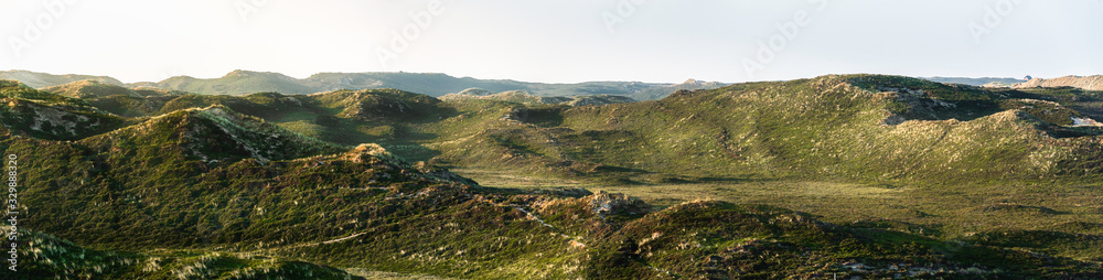 Dunes on Sylt island panorama. Sand dunes covered in moss