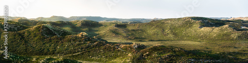 Vászonkép Dunes on Sylt island panorama. Sand dunes covered in moss