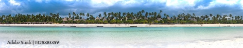 panoramic view of the beach in zanzibar with palm trees and old fishing boats © Michael Barkmann