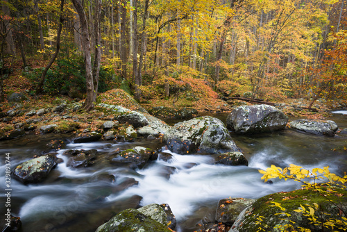 The Middle Prong of the Little River flows through a pristine autumn landscape in Great Smoky Mountains National Park, Tennessee, USA.