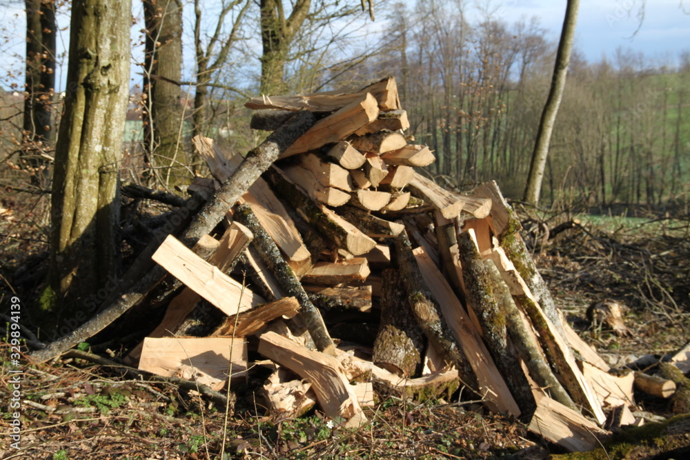 Warming fire wood pile in the forest