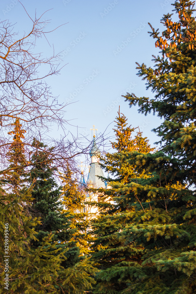 Fototapeta premium small Church in the Park through tree branches