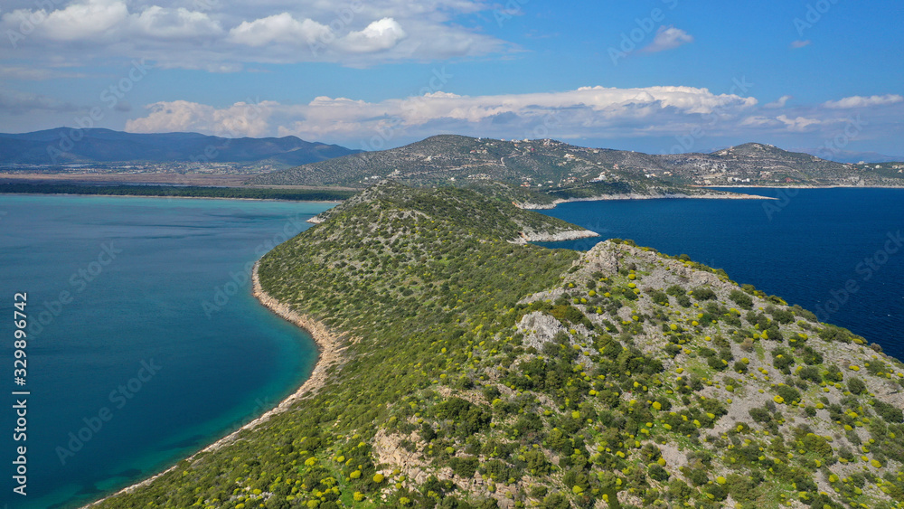 Aerial photo from Kinosoura peninsula, natural Park and wetland of Shinias bay with rare Pine trees and turquoise clear sea, Marathon, Attica, Greece