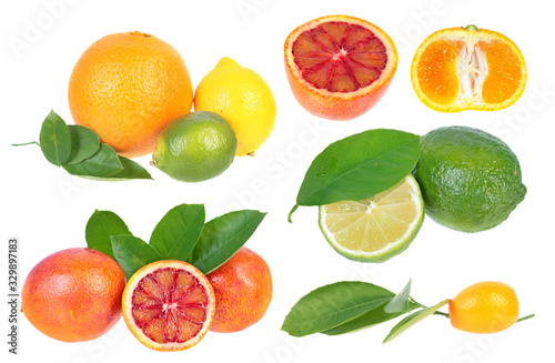 Fototapeta Naklejka Na Ścianę i Meble -  Set of different citrus fruits with green leaves isolated on white background