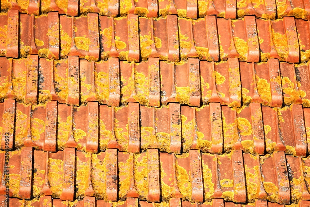 Pattern of red tiled roof in Lisbon