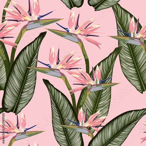 Bird of paradise tropical pink flower seamless pattern. Jungle exotic plant for fabric design. South African blossom flower  strelitzia. Floral wallpaper. Pink backdrop.