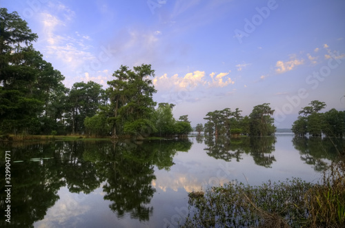 Serene water at Lake Martin  Breaux Bridge  Louisiana early morning