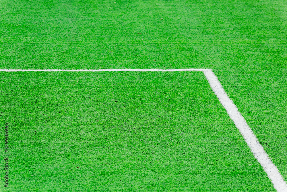 Obraz premium Green grass texture background, Green lawn, Backyard for background, Grass texture