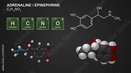 Animated models of adrenaline (epinephrine) molecule, seamless loop, 4K, 30fps