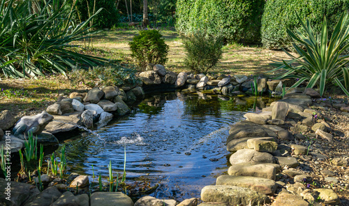 Stampa su tela Beautiful small garden pond with a frog-shaped fountain and stone shores in spring