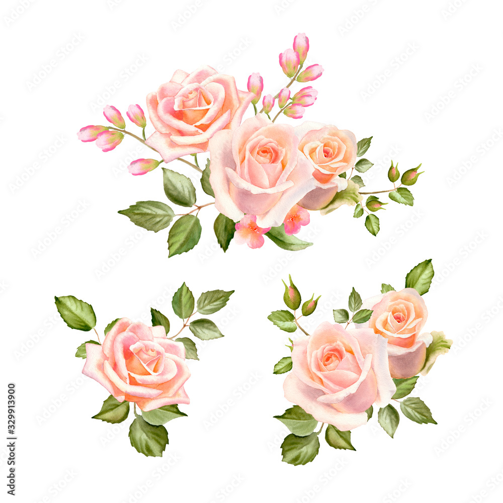 Watercolor tender bouquets with blush roses flowers. Illustration isolated on a white background. The trendy elegant design for wedding invitation, poster, greeting cards and web design. Hand drawing.