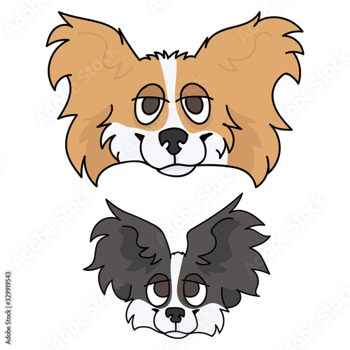 Cute cartoon papillon dog and puppy face vector clipart. Pedigree kennel doggie breed for dog lovers. Purebred domestic puppy for pet parlor illustration mascot. Isolated canine fluffy. EPS 10. 