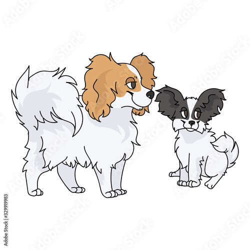 Cute cartoon papillon dog and puppy vector clipart. Pedigree kennel doggie breed for dog lovers. Purebred domestic puppy for pet parlor illustration mascot. Isolated canine fluffy. EPS 10. 