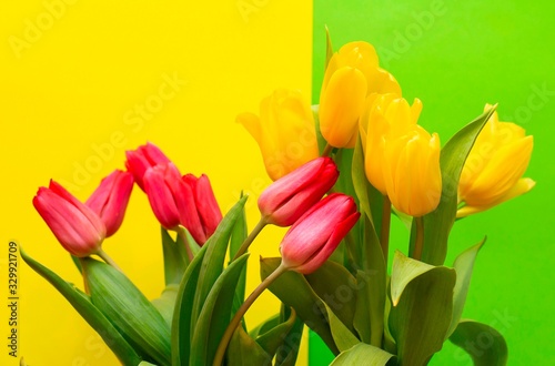 Bouquet of red and yellow tulips on a colored background.