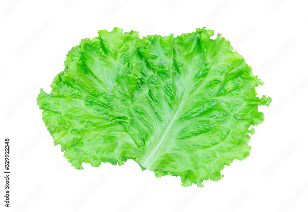 Salad leaf. Lettuce isolated on white background with clipping path Salad leaf. Lettuce isolated on white background with clipping path