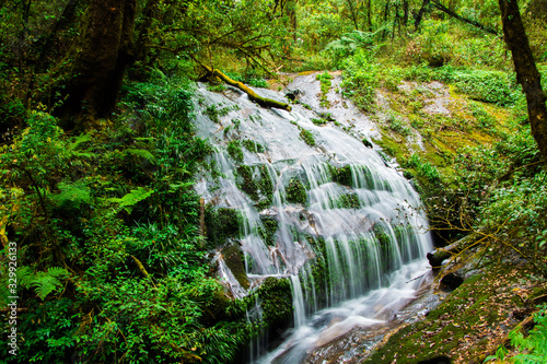 Small waterfall is in the  forest  .