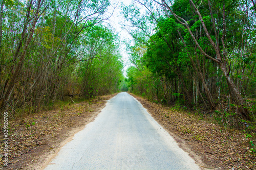 Road is in the forest.