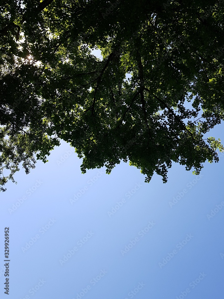 Under the tree (Groningen) Under the tree (Groningen)