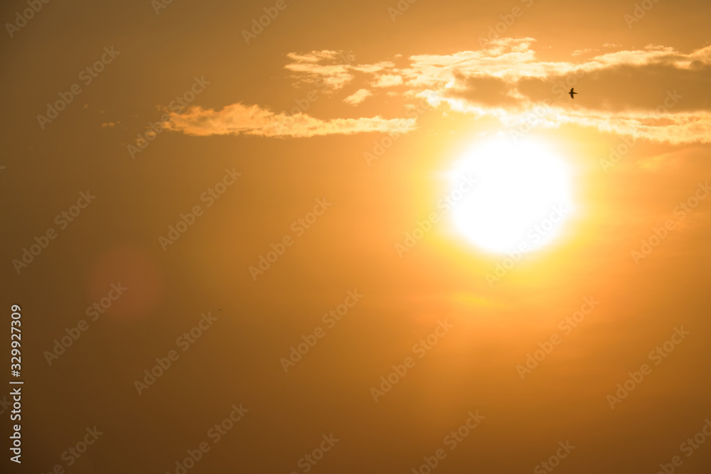 Silhouette sunset background with copy space, selective lens flare and soft focus