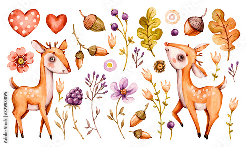 Cute baby deer. Vector Forest Watercolor nursery cartoon woodland animals deer, flowers leaves. Adorable Nurseries woodland set isolated on white background. Hand painted watercolour baby deer clipart