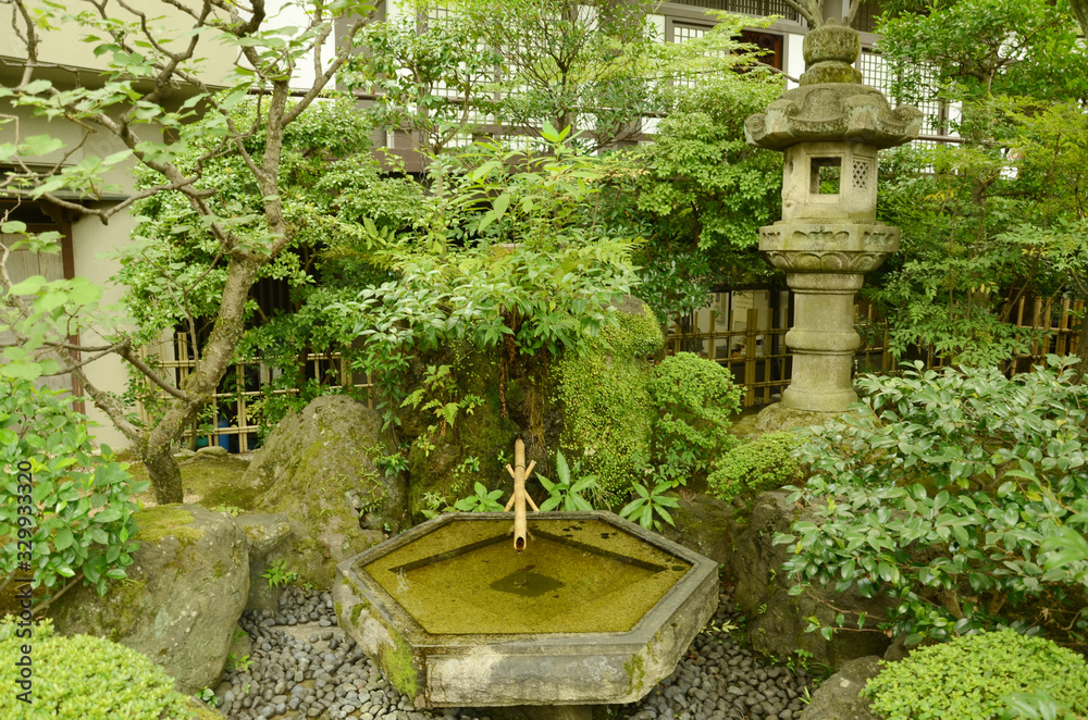 Summer Japanese zen garden, Kyoto.