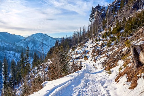 Mountain trail towards Kościeliska Valley from Przysłop Miętusi Mountain Pass in Tatra Mountains, Poland