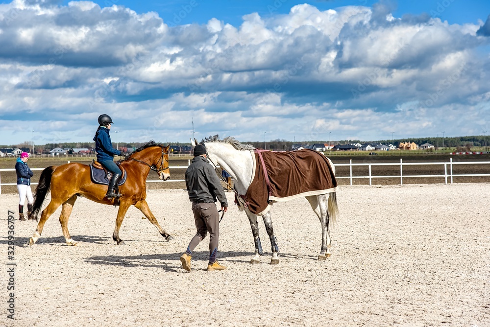 Animal for a trip. Horse sports details. Jockey and his horse Animal for a trip. Horse sports details. Jockey and his horse