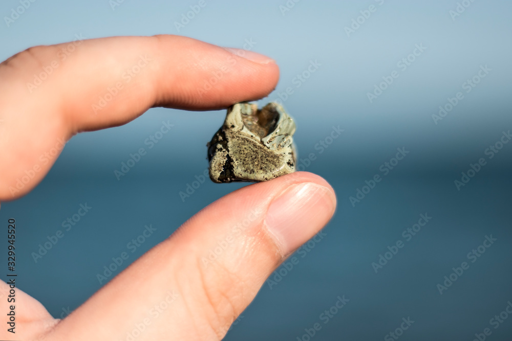 Rare Sea Rocks archeology search for rare minerals and stones in the open sea and ...
