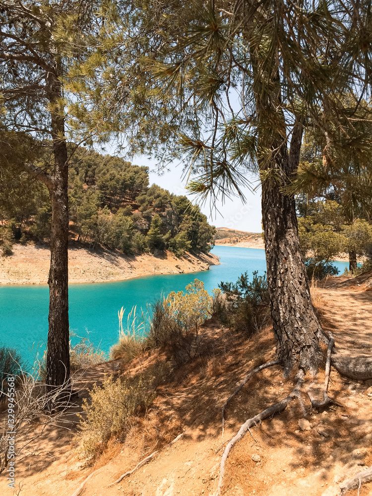 Elevated view through the treetops towards the lake while people enjoy the reservoir in summer. Ardales, Malaga.