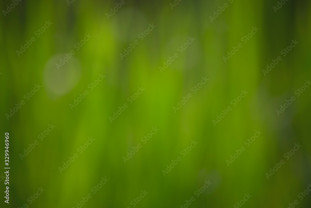 Obraz premium abstract background of blurred and soft white bokeh on blue
