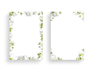 Beautiful spring flower frame, invitation, wedding card, thanks greeting, flower background