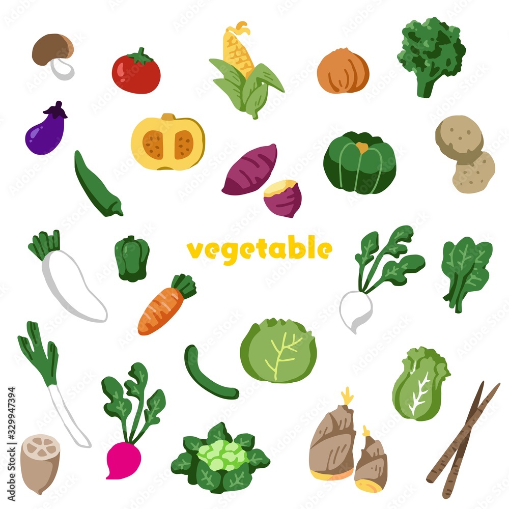 野菜のイラストセット 野菜のイラストセット