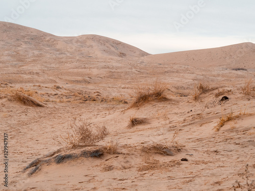 Mojave dessert on sunny day.