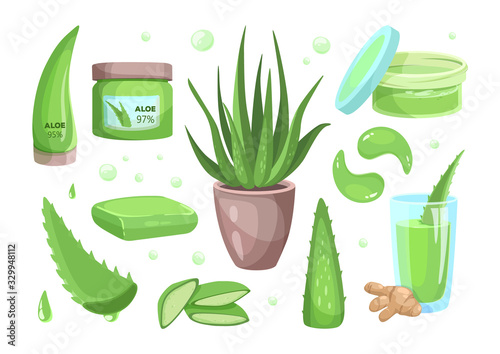Aloe vera cartoon style icons. Succulent, tropical plant vector illustrations, organic drink, cosmetic. 