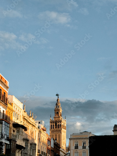 Seville Cathedral reflected by the sunset. Gothic cathedral of Seville, the second largest cathedral in the world.