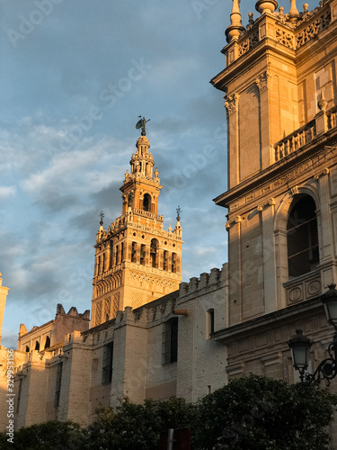 Seville Cathedral reflected by the sunset. Gothic cathedral of Seville, the second largest cathedral in the world. photo