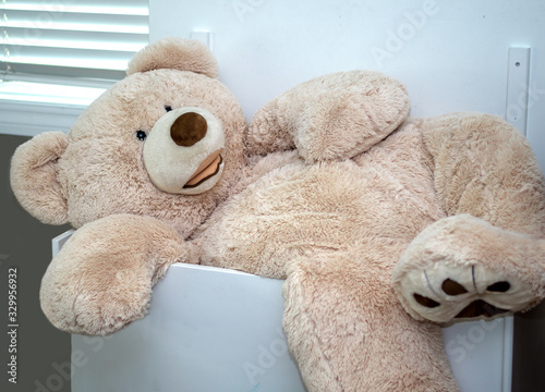 Cuadro en lienzo A large stuffed teddy bear tries to fit into a big wood ty box, but is still too