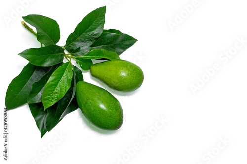 Wallpaper Mural Avocado fruits Persea americana white background studio photo shoot Torontodigital.ca