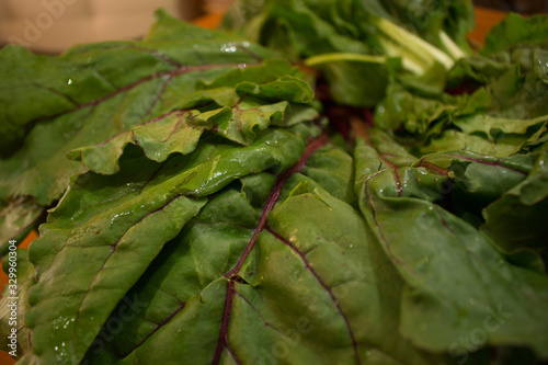 lechuga