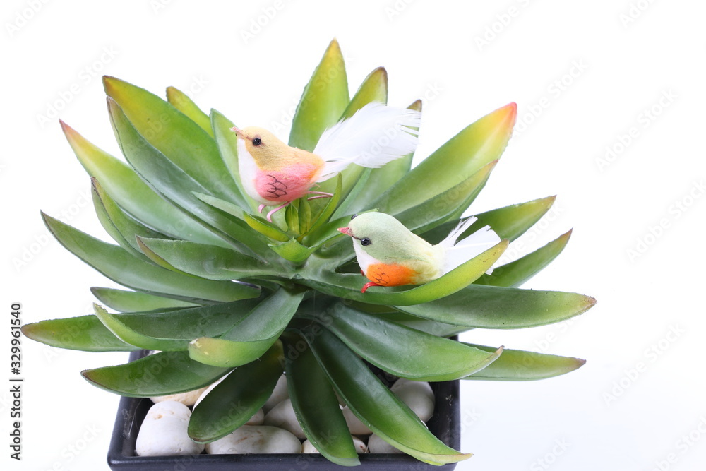Fake bird on agave plant in pot Fake bird on agave plant in pot