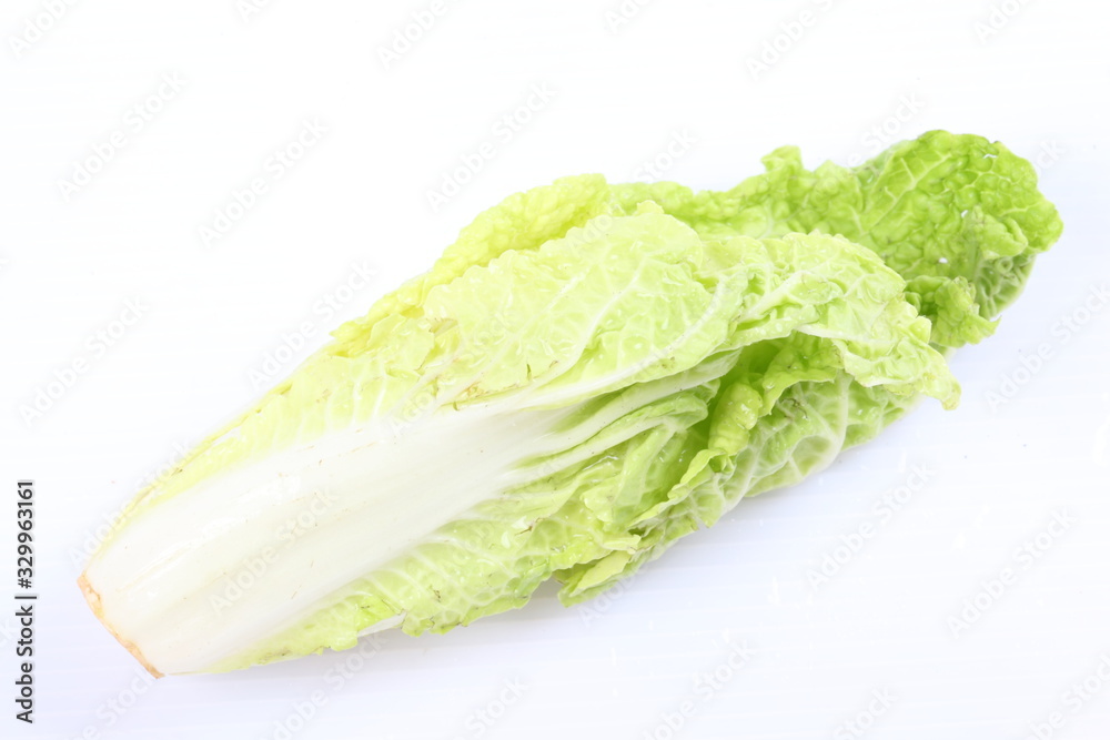 chinese cabbage isolated on white chinese cabbage isolated on white