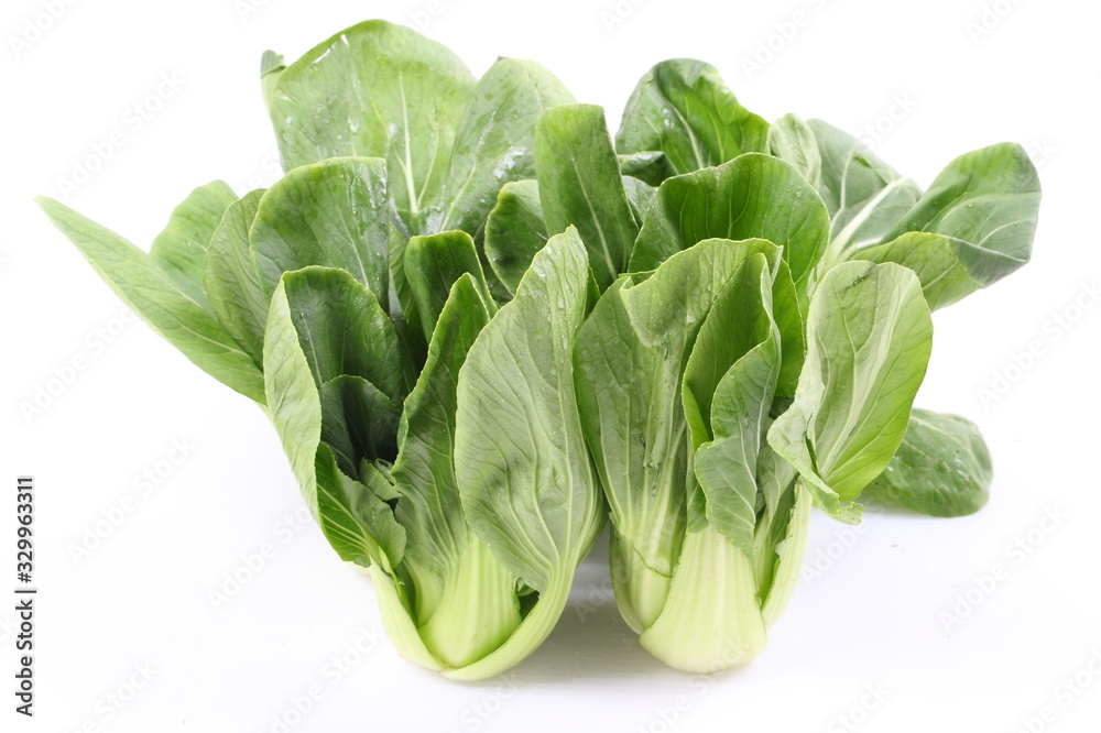 Chinese cabbage vegetable on a white background.