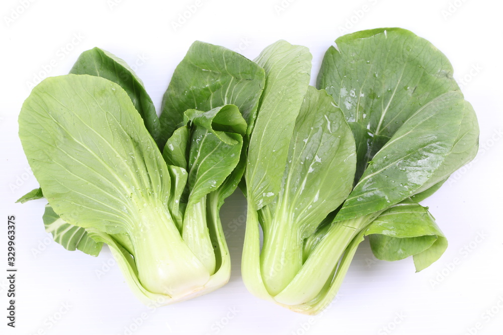 Chinese cabbage vegetable on a white background. Chinese cabbage vegetable on a white background.