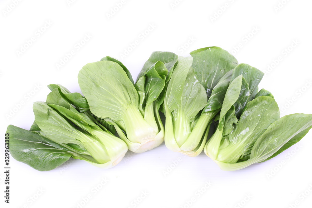 Chinese cabbage vegetable on a white background. Chinese cabbage vegetable on a white background.