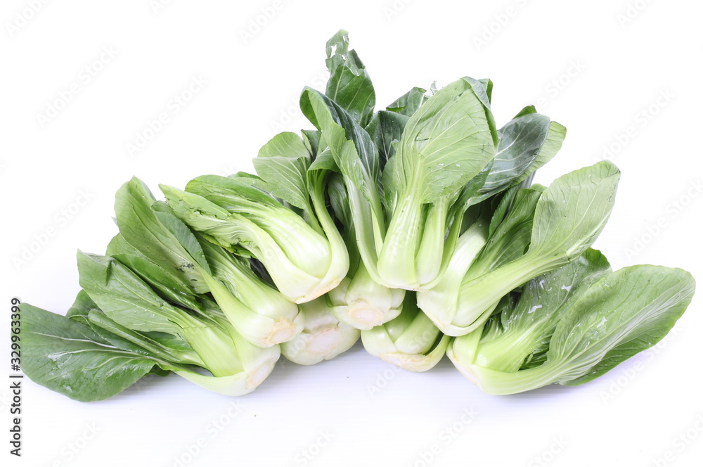 Chinese cabbage vegetable on a white background. Chinese cabbage vegetable on a white background.