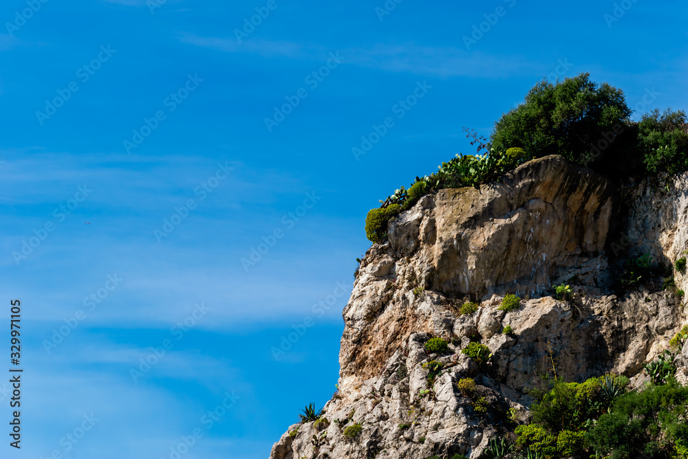 Close-up view of the rocky Castle Hill cliff with tropical trees and plants against the background of the clear blue sky (Nice, France)