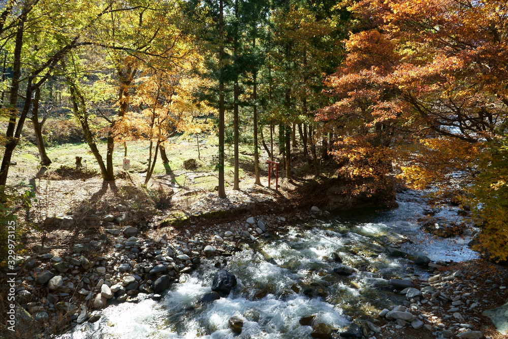 Japanese autumn mountains and river