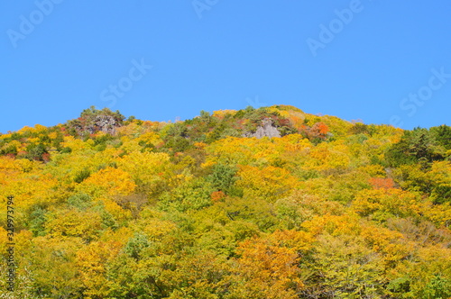 Fototapeta Naklejka Na Ścianę i Meble -  Japanese autumn forest and dam lake